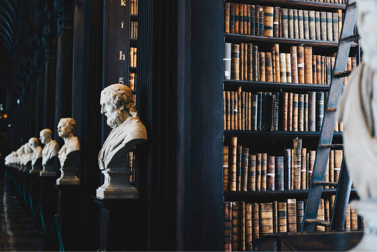 books on shelves in library