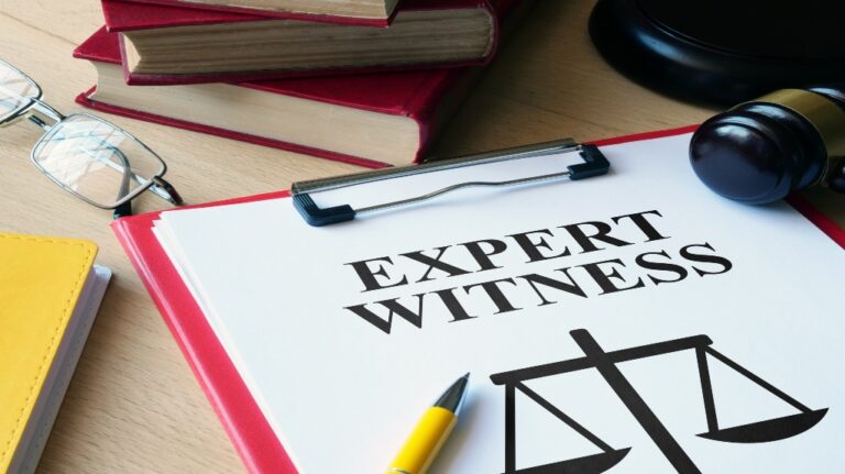 expert witness