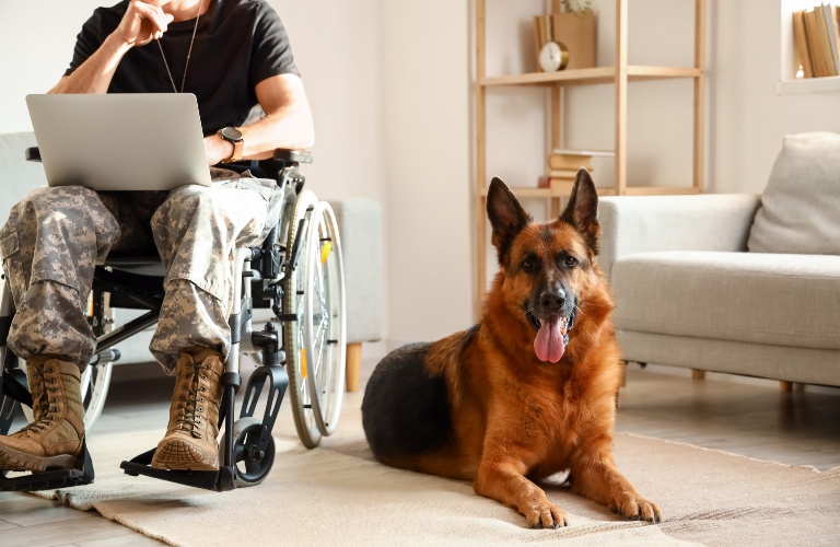 veteran y in wheelchair and his dog at home