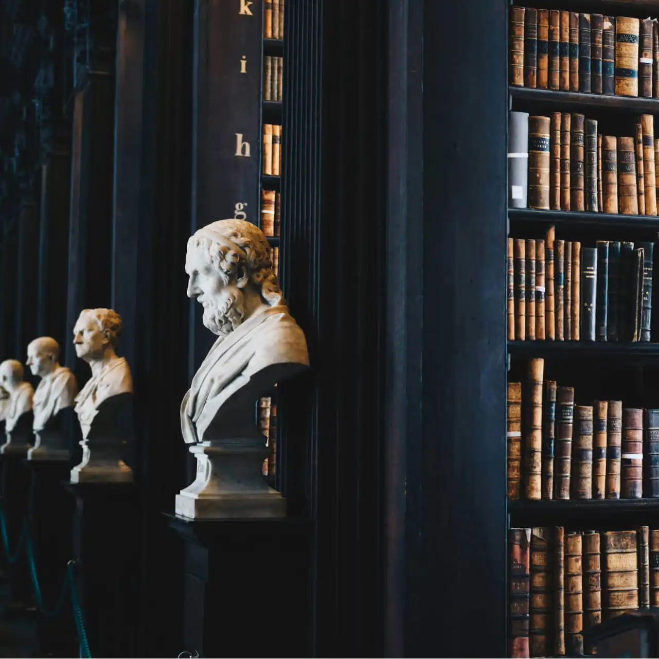 Row of classical white marble busts on black pedestals in historic library with wooden bookshelves and antique books.